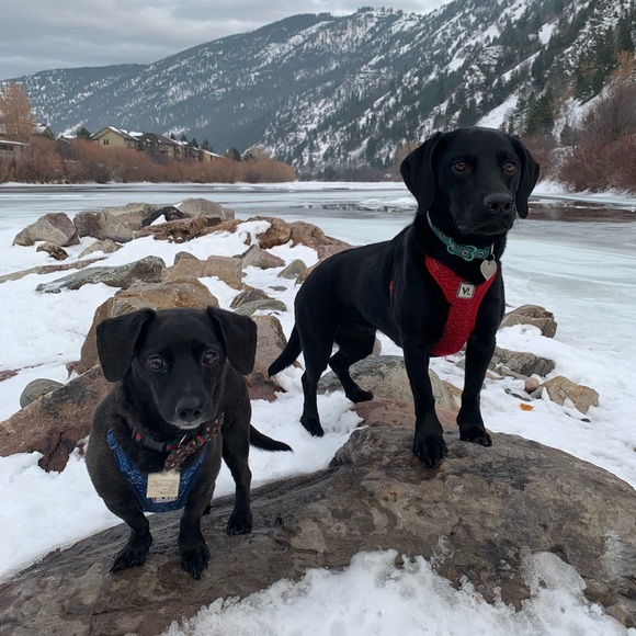 Meet your Posher, Kimberly - Picture 13 of 16